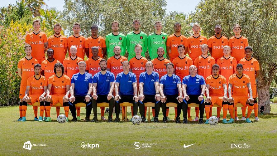 欧洲杯荷兰德国阵容（荷兰 德国 欧洲杯）